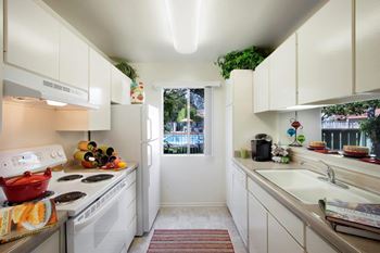 Efficient appliances in kitchen